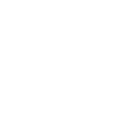 The Aesthetic Guide logo