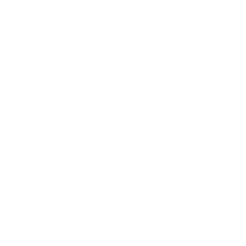 DUJOUR logo