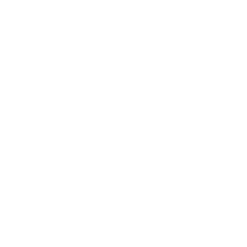 Nylon logo